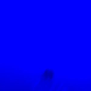 Meet your Posher, Alix